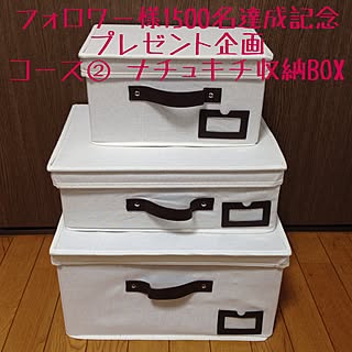 玄関/入り口/一人暮らし/賃貸/築20年以上/1LDK...などのインテリア実例 - 2017-01-24 20:28:53