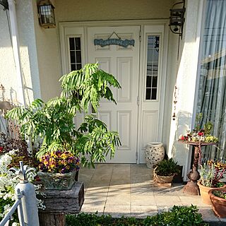 玄関/入り口/観葉植物/バードバスの植木鉢/寄せ植えのインテリア実例 - 2017-04-05 08:39:38