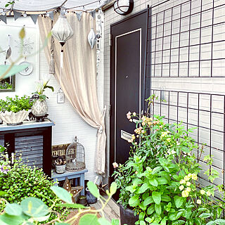 ガーデンルーム/サンルーム/玄関ドア/壁紙貼ります/緑と暮らす...などのインテリア実例 - 2020-05-26 20:06:53