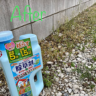 アースガーデン/除草/植物のある暮らし/ガーデニング/建売住宅...などのインテリア実例 - 2021-04-03 17:26:48