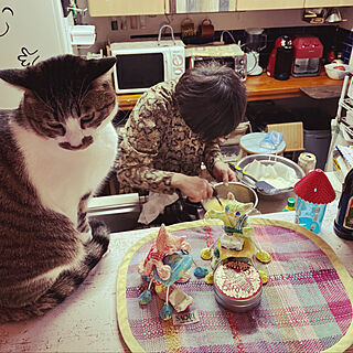 紙粘土工作で猫/さをり織りのランチョンマット/カウンター上の猫/チーズケーキ作り/ねこのいる風景...などのインテリア実例 - 2022-03-09 08:00:18