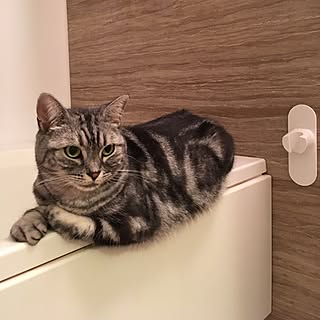 mikomaruさんの実例写真