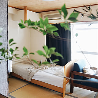 観葉植物/賃貸インテリア/レトロマンション/インスタ→shosworks/IKEA...などのインテリア実例 - 2020-08-21 09:03:16