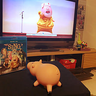 SING DVD/ハム/トイストーリー部/キャラクター/フィギュアのインテリア実例 - 2017-08-10 00:05:13