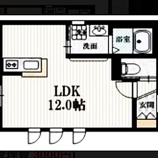 部屋全体/リビング/1LDK/一人暮らし/間取り図のインテリア実例 - 2017-01-20 04:27:09