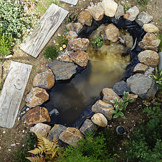 庭 池のおしゃれなインテリアコーディネート レイアウトの実例 Roomclip ルームクリップ