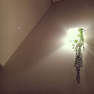 壁/天井/吹き抜け階段/階段の照明/夜の階段のインテリア実例 - 2017-05-16 02:22:45