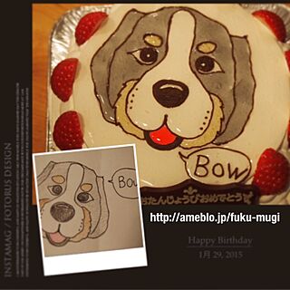 机/ブログ更新しました♡/誕生日。/オリジナルケーキ/大型犬部...などのインテリア実例 - 2015-01-29 23:20:27
