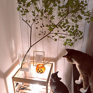 秋を感じる♪/秋色インテリア/IKEA/おはようございます✩.*˚/黒猫♡...などのインテリア実例 - 2022-10-16 09:34:31