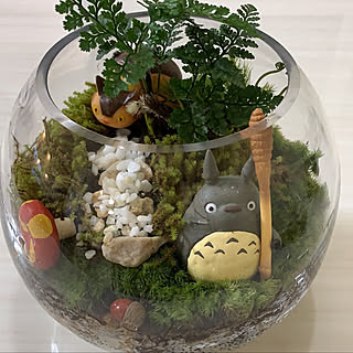 観葉植物/DIY/リビングのインテリア実例 - 2019-07-11 09:21:45