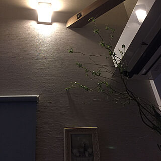 壁/天井/植物のある暮らし/ブラケット照明/照明/吹抜け...などのインテリア実例 - 2017-09-06 12:13:36