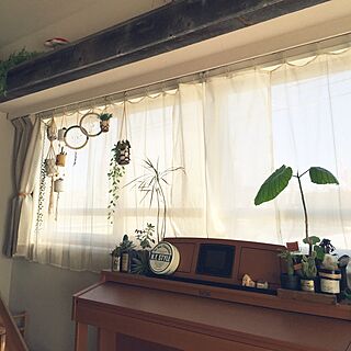 棚/ピアノの上/窓側ブラブラ/多肉植物/神奈川県民のインテリア実例 - 2015-03-11 09:33:18