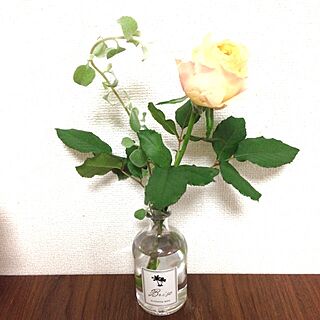 部屋全体/花のインテリア実例 - 2013-11-04 18:30:26