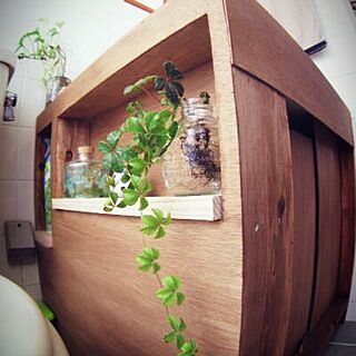 バス/トイレ/DIY/植物のインテリア実例 - 2013-04-24 11:40:36