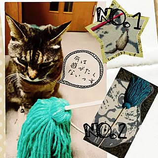 リビング/手作り/ねこのいる日常/フォローの押し逃げお許し下さい★/フォローして頂きありがとうございます！...などのインテリア実例 - 2017-02-20 17:38:30