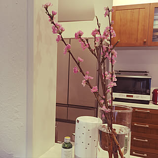 キッチン/桃の花のインテリア実例 - 2018-03-04 11:07:06