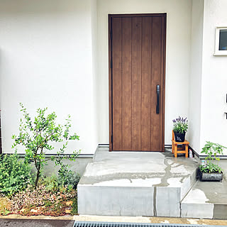 ヴェナート/YKK玄関ドア/オリーブ/ドア/植物のある暮らし...などのインテリア実例 - 2019-06-05 11:45:22
