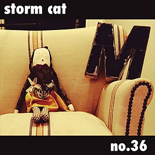 stormcatさんの実例写真