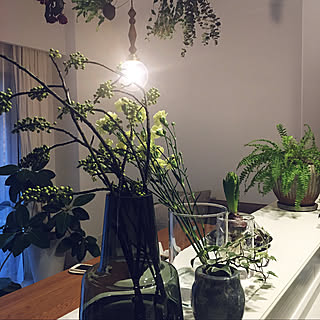 ドライフラワー/植物のある暮らし/観葉植物/北欧雑貨/マンションインテリア...などのインテリア実例 - 2021-03-21 23:21:57