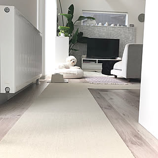 ニトリのタイルカーペットのインテリア実例 Roomclip ルームクリップ