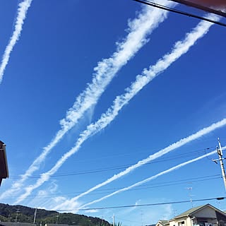 秋晴れ/飛行機雲のインテリア実例 - 2015-10-26 12:37:13