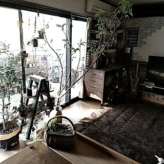 部屋全体/観葉植物/海外インテリアに憧れる/フォロワーさんに感謝♥/男前も可愛いも好き...などのインテリア実例 - 2018-03-16 05:41:33