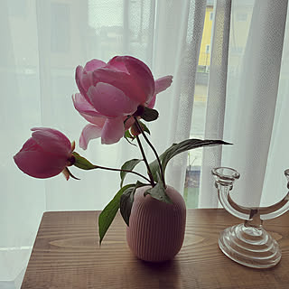 机/お花のある暮らし/しゃくやく/IKEA 花瓶/韓国インテリアのインテリア実例 - 2022-05-09 11:51:32