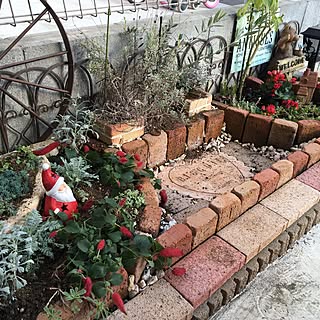 冬の花壇のインテリア実例 Roomclip ルームクリップ