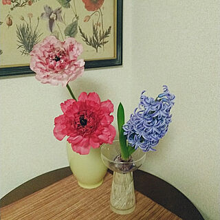 壁/天井/お花を飾る/お花大好き♥/一人暮らし/花のある暮らし...などのインテリア実例 - 2023-02-28 20:22:26