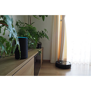 棚/キュビオス/amazon echo/観葉植物/ルンバ...などのインテリア実例 - 2017-12-16 20:49:27