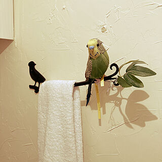小鳥のオブジェ/アイアン雑貨/トイレのインテリア/しっくい壁DIY/バス/トイレのインテリア実例 - 2020-12-06 13:05:34