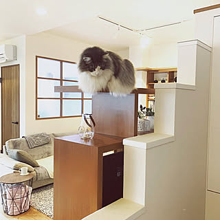 壁/天井/キャットウォーク/salut!/Panasonic建具/BoConcept ソファ...などのインテリア実例 - 2019-02-13 05:27:14