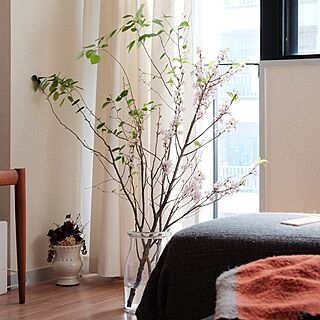 リビング/枝もの/植物/桜/sofa...などのインテリア実例 - 2017-05-13 22:00:39