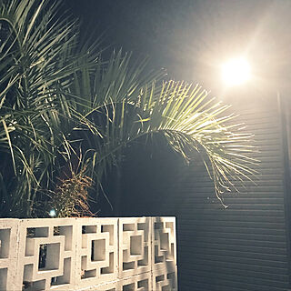 シンボルツリー/お庭/空洞ブロック/夏の夜/ライトアップ...などのインテリア実例 - 2018-07-31 23:23:43
