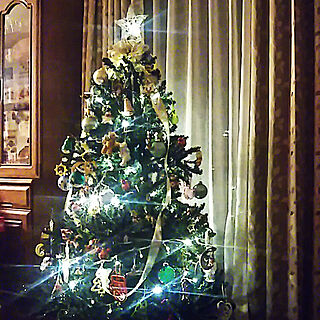 リビング/クリスマス/クリスマスツリー/ケーテウォルファルトのインテリア実例 - 2017-12-01 22:00:24