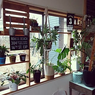 棚/デコ窓/DIY/観葉植物/観葉植物のある部屋のインテリア実例 - 2016-12-27 11:06:27