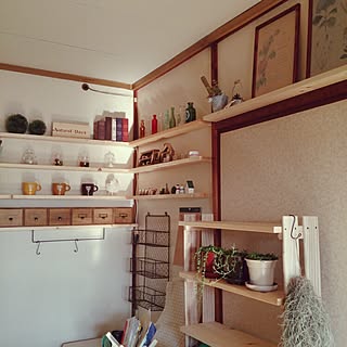 部屋全体/植物色々/団地/DIY/セリア...などのインテリア実例 - 2014-12-09 13:41:25