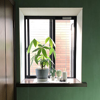 観葉植物のある暮らし/出窓のグリーン/玄関/入り口のインテリア実例 - 2023-06-27 18:03:45