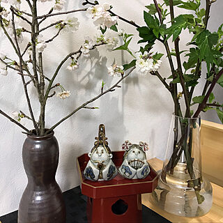 木いちご/桜/ひな祭り/棚のインテリア実例 - 2019-03-17 22:17:25