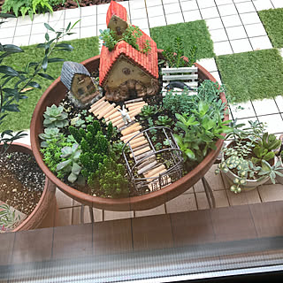 モルタルハウス/ジオラマ風寄せ植え/多肉植物/多肉寄せ植え/小さな庭...などのインテリア実例 - 2018-09-20 08:33:25