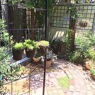 玄関/入り口/ウッドデッキDIY /植物/ガーデニング/手作りの庭...などのインテリア実例 - 2016-05-23 19:09:58
