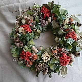 桃のドライフラワー Www Floridaconstructionlegalupdates Com