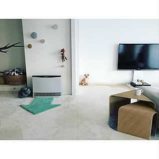 部屋全体/MUUTO/カイボイスン/マンション/チワワ...などのインテリア実例 - 2017-12-06 16:00:31