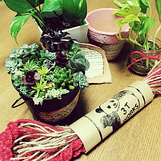 ベッド周り/ベットまわりではないです/ポトス/多肉植物/RCの出会いに感謝♥︎...などのインテリア実例 - 2014-12-11 18:42:41