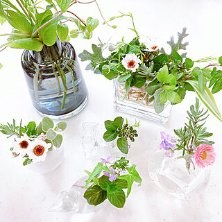 春の花/ホルムガード フローラ/ガラス花瓶/庭の植物をあしらってみました。/RCの出会いに感謝♡...などのインテリア実例 - 2022-04-13 16:22:01
