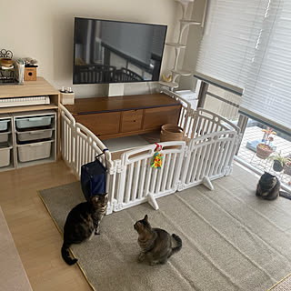 猫 ベビーゲートのおしゃれなアレンジ 飾り方のインテリア実例 Roomclip ルームクリップ 猫 ベビーゲートのおしゃれなアレンジ 飾り方のインテリア実例 Roomclip ルームクリップ