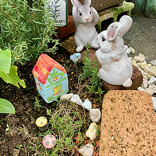 RCの出会いに感謝♡/見てくれてありがとう♡/植物のある暮らし/ガーデン雑貨/花壇...などのインテリア実例 - 2021-09-14 16:22:42