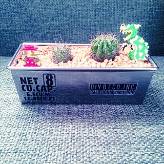 マリオが大好き のインテリア実例 Roomclip ルームクリップ