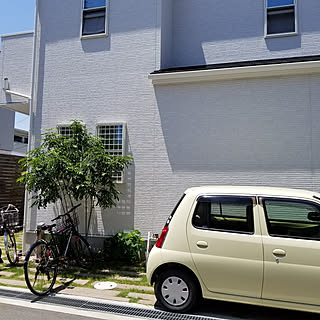 部屋全体/シマトネリコ/若生植木農園のインテリア実例 - 2019-07-14 00:18:48