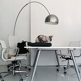 机/desk/catのインテリア実例 - 2016-01-05 23:59:13